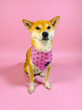 Load image into Gallery viewer, Asanoha Pink Cooling Dog Bandana