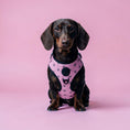 Load image into Gallery viewer, Asanoha Harness | Pink No-Pull Dog Harness | Anime Pet Harness