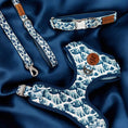 Load image into Gallery viewer, Great Wave Harness, Collar, Leash
