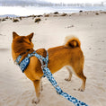 Load image into Gallery viewer, Great Wave Harness + Collar + Leash