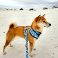 Load image into Gallery viewer, Great Wave Harness + Collar + Leash
