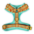 Load image into Gallery viewer, Southwest Spirit Harness Back