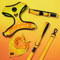Load image into Gallery viewer, Urokomon Bundle | Dog Harness, Leash, Collar, Bandana | Japanese Anime Pattern | Orange & Yellow Triangles