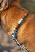 Load image into Gallery viewer, Wolfdoge Great Wave Collar on Katsu