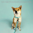 Load image into Gallery viewer, Wolfdoge Jacquard Collar & Leash