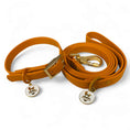Load image into Gallery viewer, Wolfdoge Waterproof Collar & Leash Sedona
