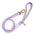 Load image into Gallery viewer, Wolfdoge Waterproof Leash Lilac