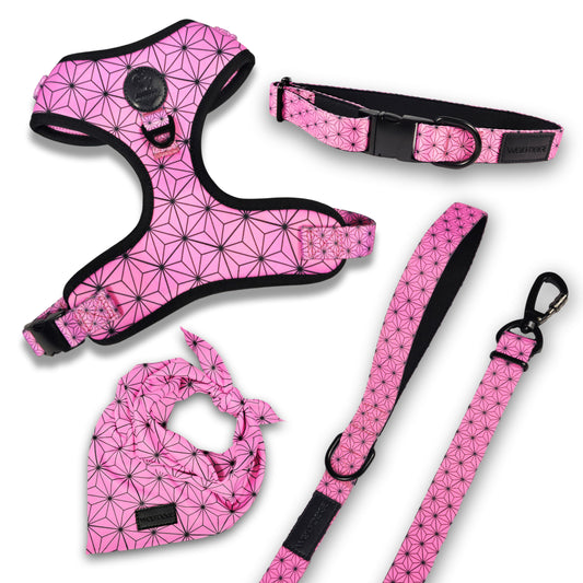 Asanoha Bundle - Harness, Collar, Leash, Bandana