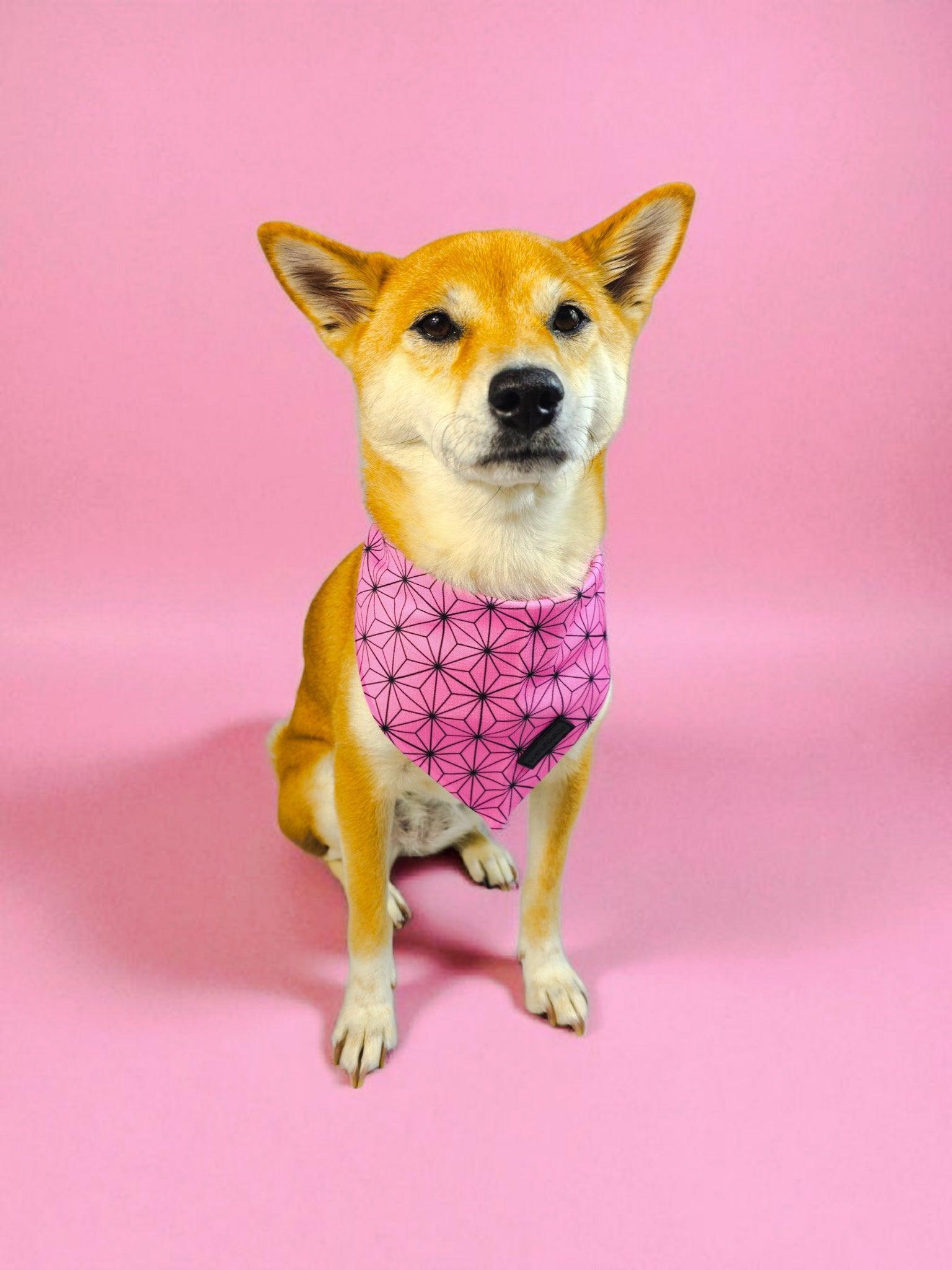 Asanoha Pink Cooling Dog Bandana