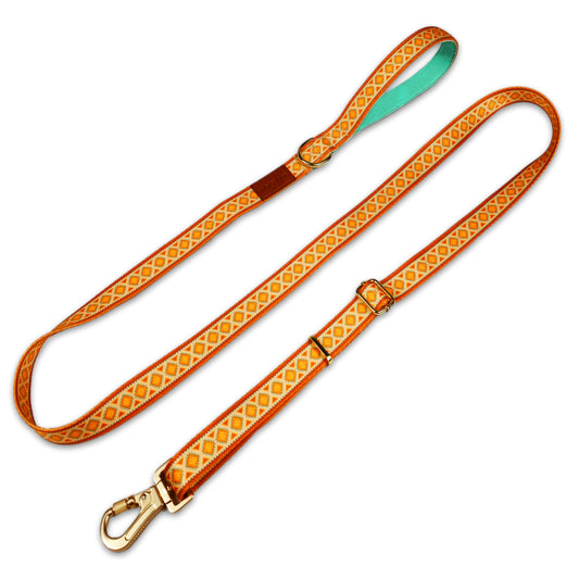 Desert Dream Leash