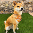 Load image into Gallery viewer, Desert Dream Cooling Bandana | Navajo Dog Bandana | Southwestern Pet Bandana
