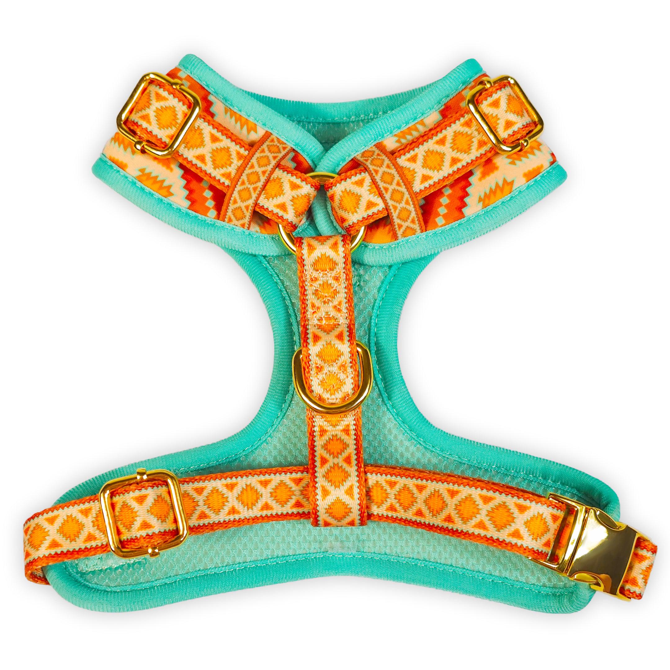 Desert Dream Harness Back