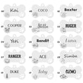 Load image into Gallery viewer, Wolfdoge Dog Tag Pet ID Tags
