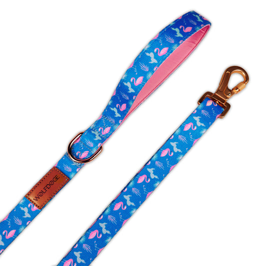 Flamingo Fiesta Leash