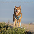 Load image into Gallery viewer, Great Wave Harness
