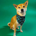 Load image into Gallery viewer, Ichimatsu Checker Cooling Dog Bandana

