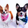 Load image into Gallery viewer, Asanoha Cooling Dog Bandana + Ichimatsu Checker Cooling Bandana
