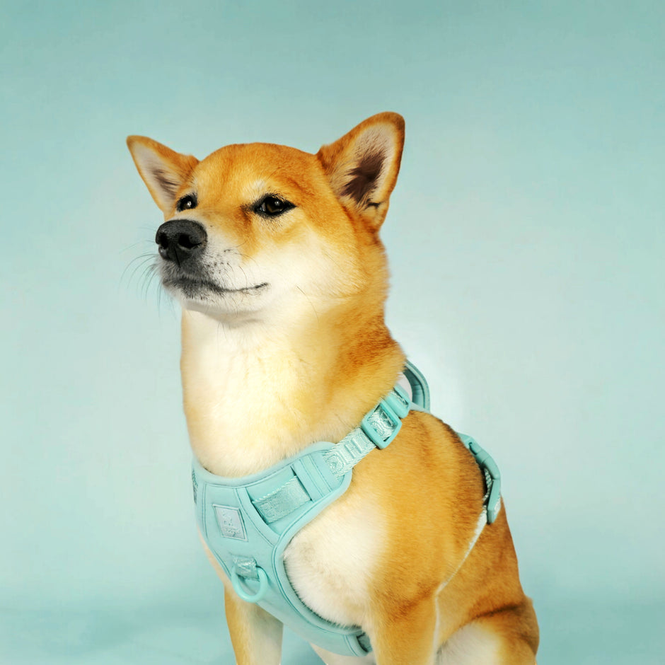 Wolfdoge Jacquard Harness