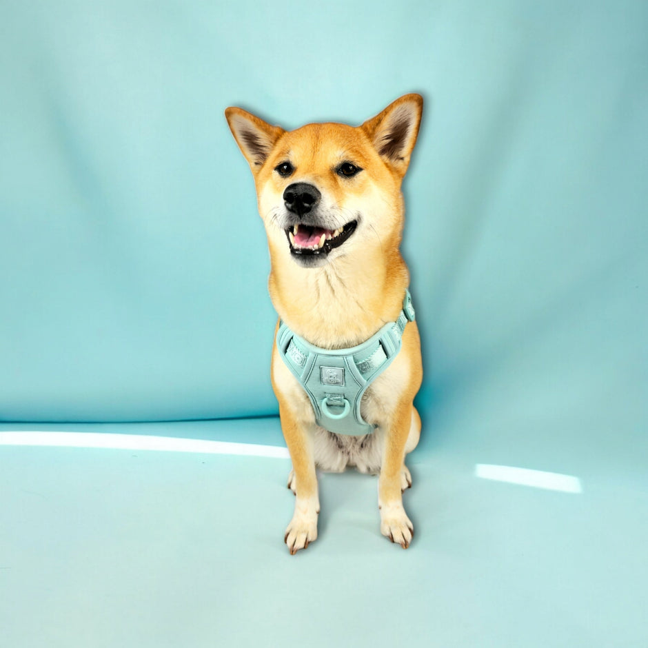 Wolfdoge Jacquard Harness