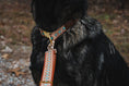 Load image into Gallery viewer, Southwest Spirit Collar & Leash Renegade
