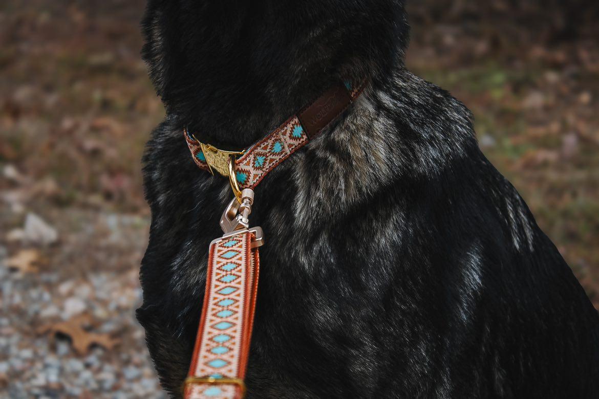 Southwest Spirit Collar & Leash Renegade