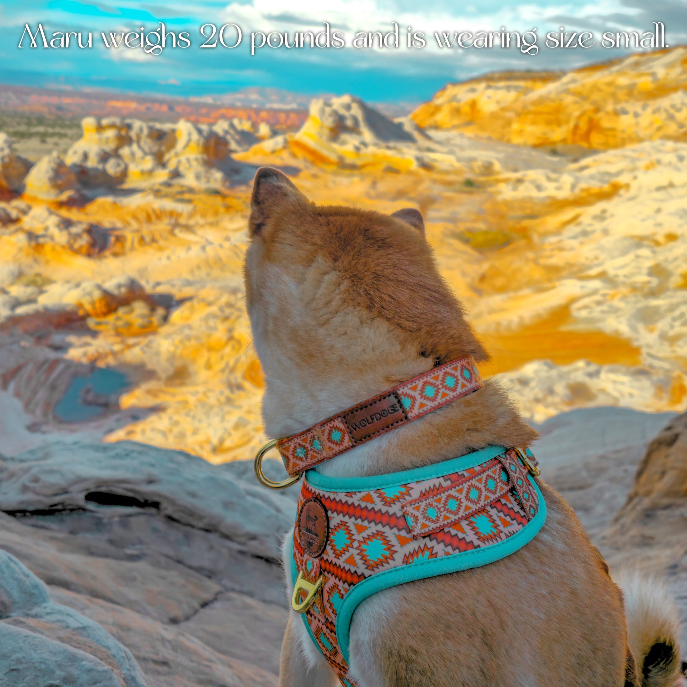 Southwest Spirit Collar & Harness Maru