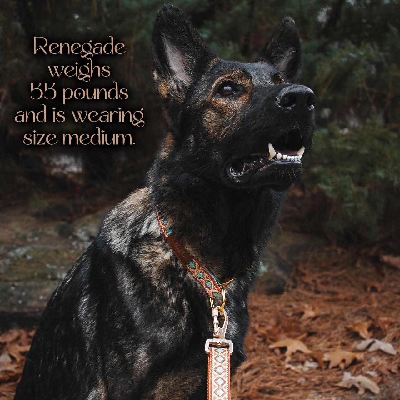 Southwest Spirit Collar & Leash Renegade