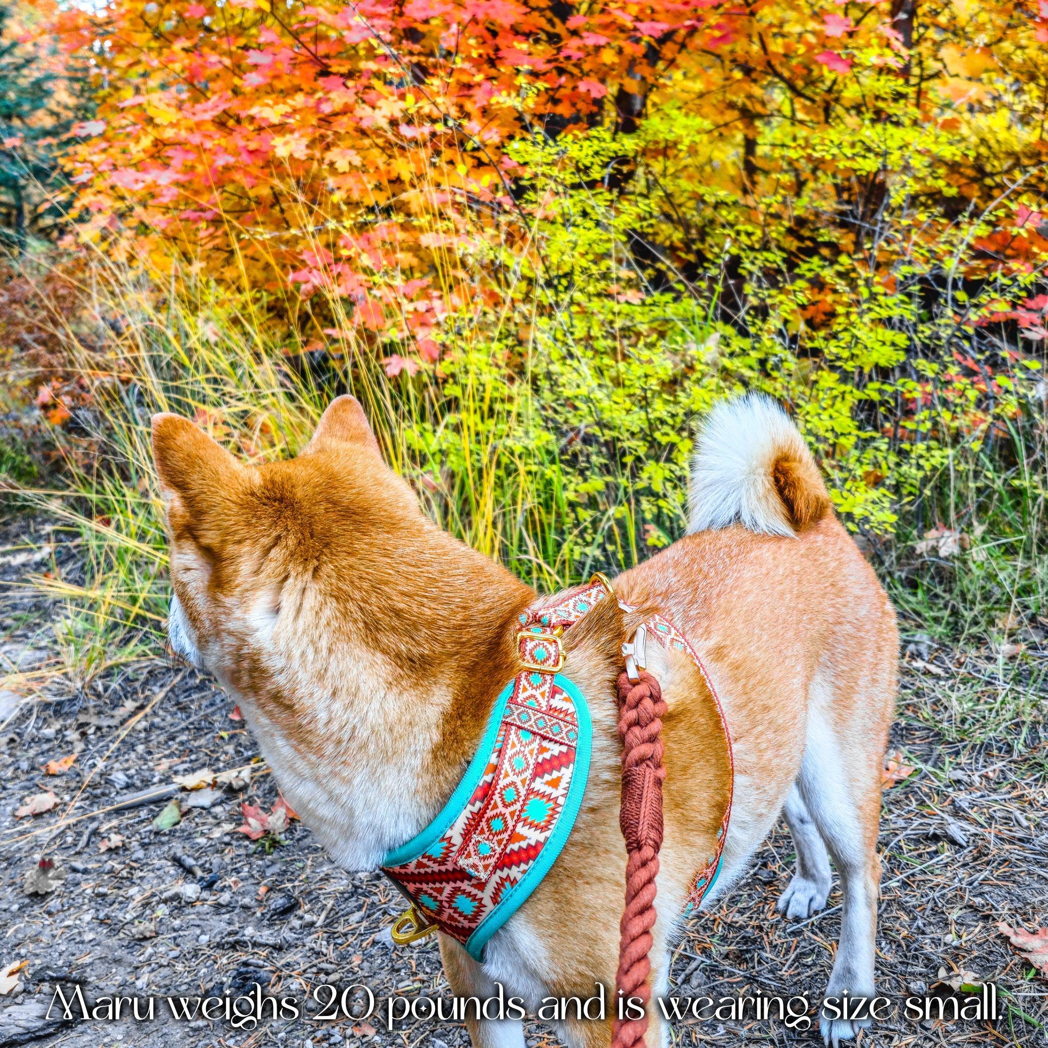 Southwest Spirit Harness Maru