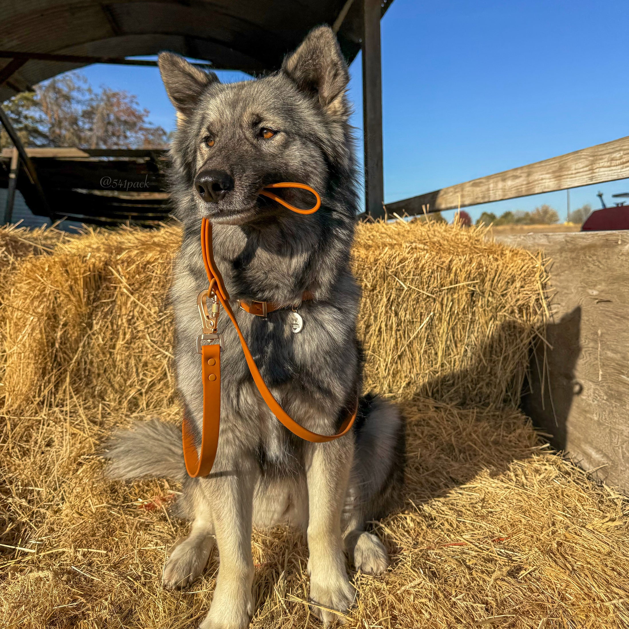 Waterproof Collar & Leash Sedona