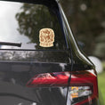 Load image into Gallery viewer, Car with a 'HOWDY' decal on the rear window, surrounded by trees.
